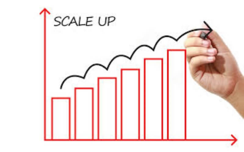 Shortage of talent no 1 barrier for Scale Up